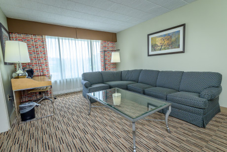 Suite Room with King Bed and Living Room